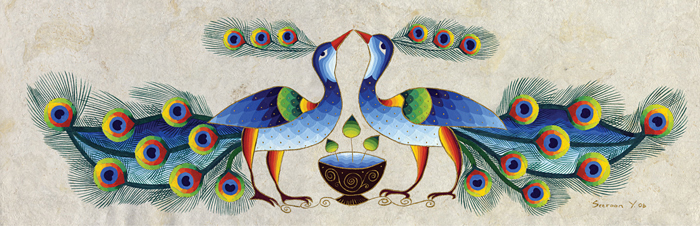 Peacocks in Attraction